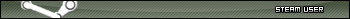 Steam User